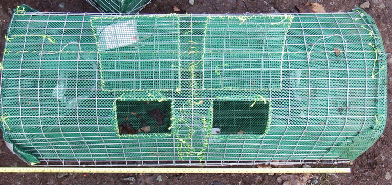 Bovenaanzicht dubbele fuik 