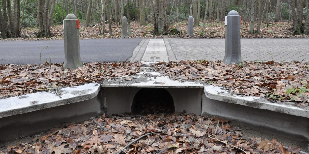 Amfibieëntunnel aan Miksebaan te Brasschaat