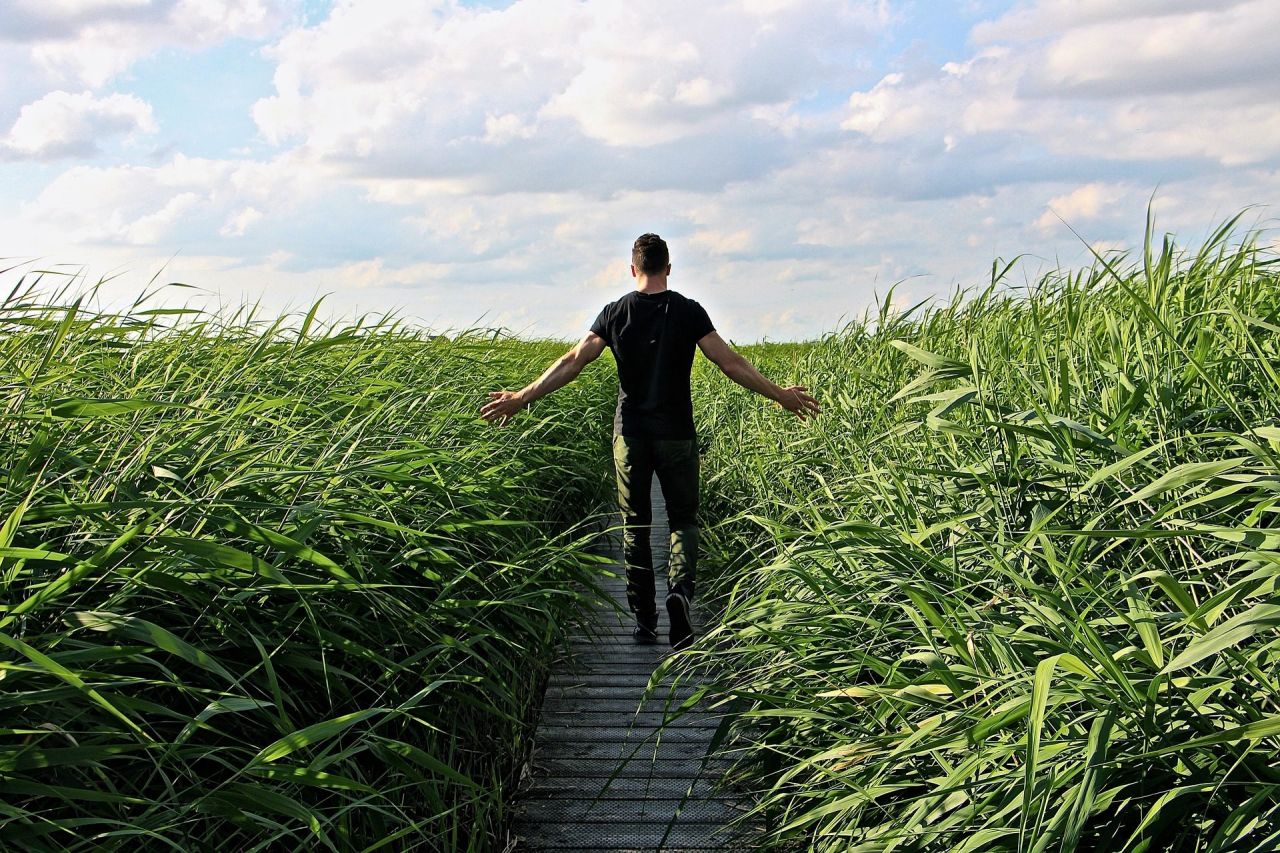 Natuur gezondheid