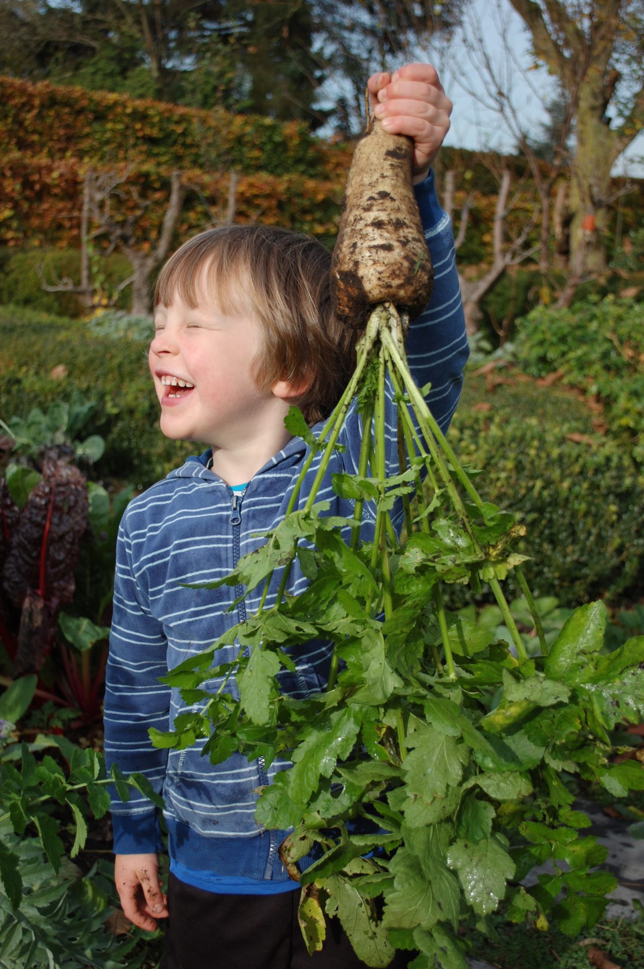 kind met pastinaak
