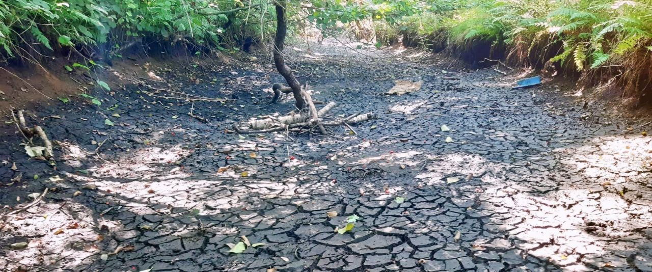uitgedroogde waterloop