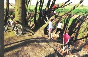 Spelende kinderen in het Hessepoelbos