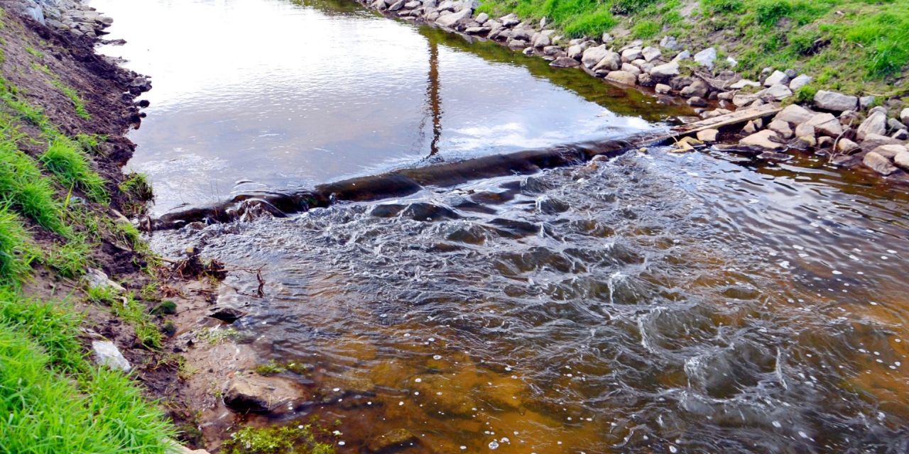 Vistrappen op de Kleine Aa in Essen