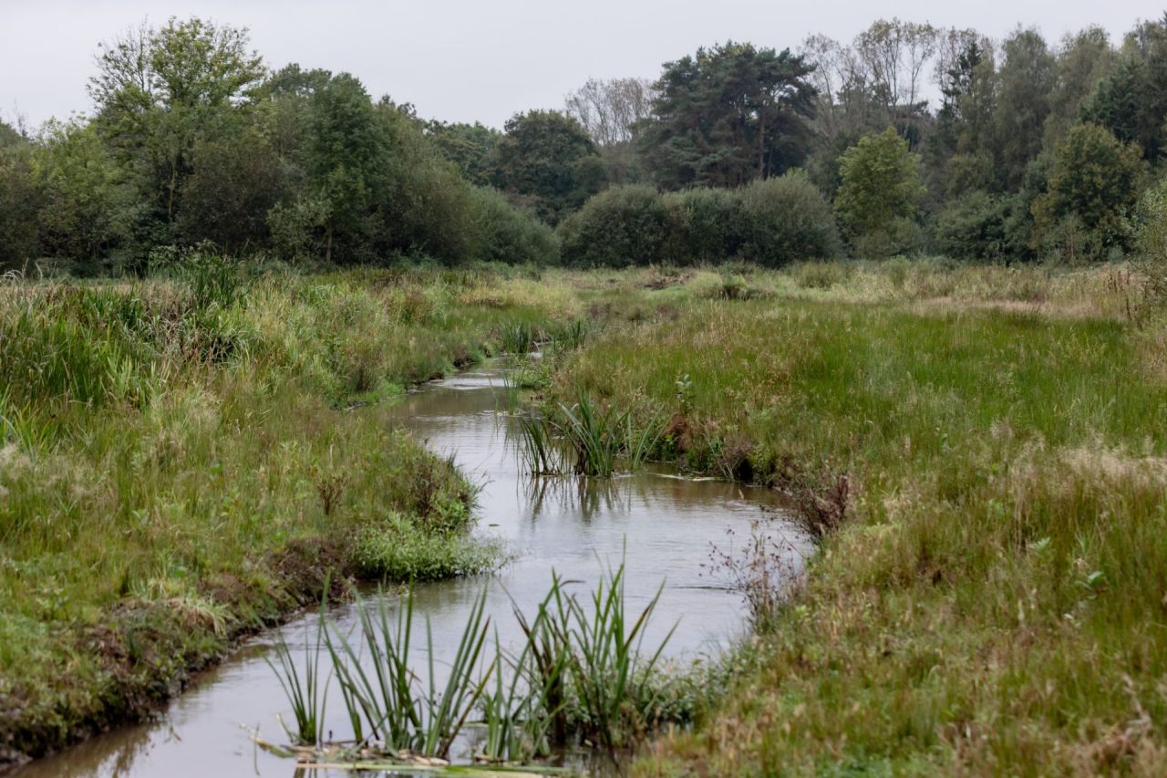 De Scherpenbergloop meandert door de vallei