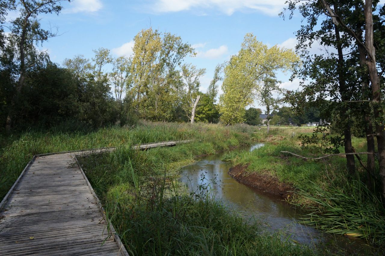 Vlonderpad door Molderbroek