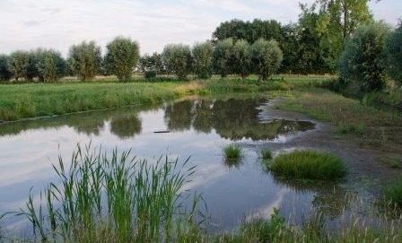 Babbelse Plassen volgelopen