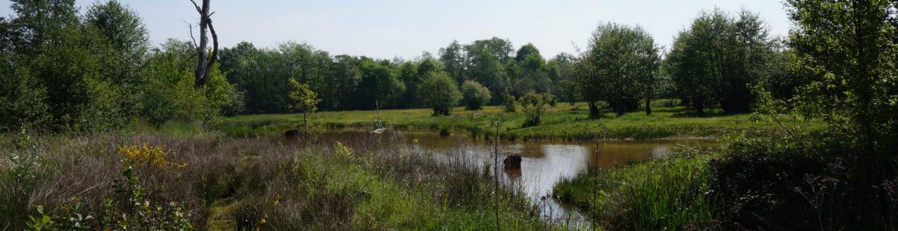 Panorama de Vennen