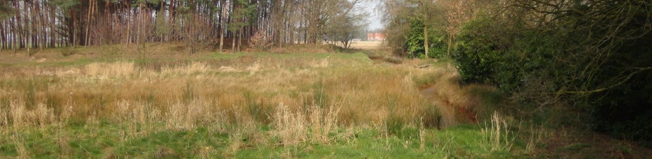 Panorama Loeijens Neetje				