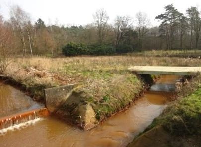 Vistrap Loeijens Neetje - klein			