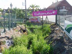 Stenenbrugseloop te Ravels. Onbereikbare waterlopen kunnen niet