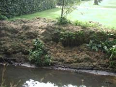 Gazonmaaisel op de oever