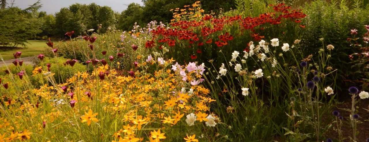 Bloemenborder in park der Sinne