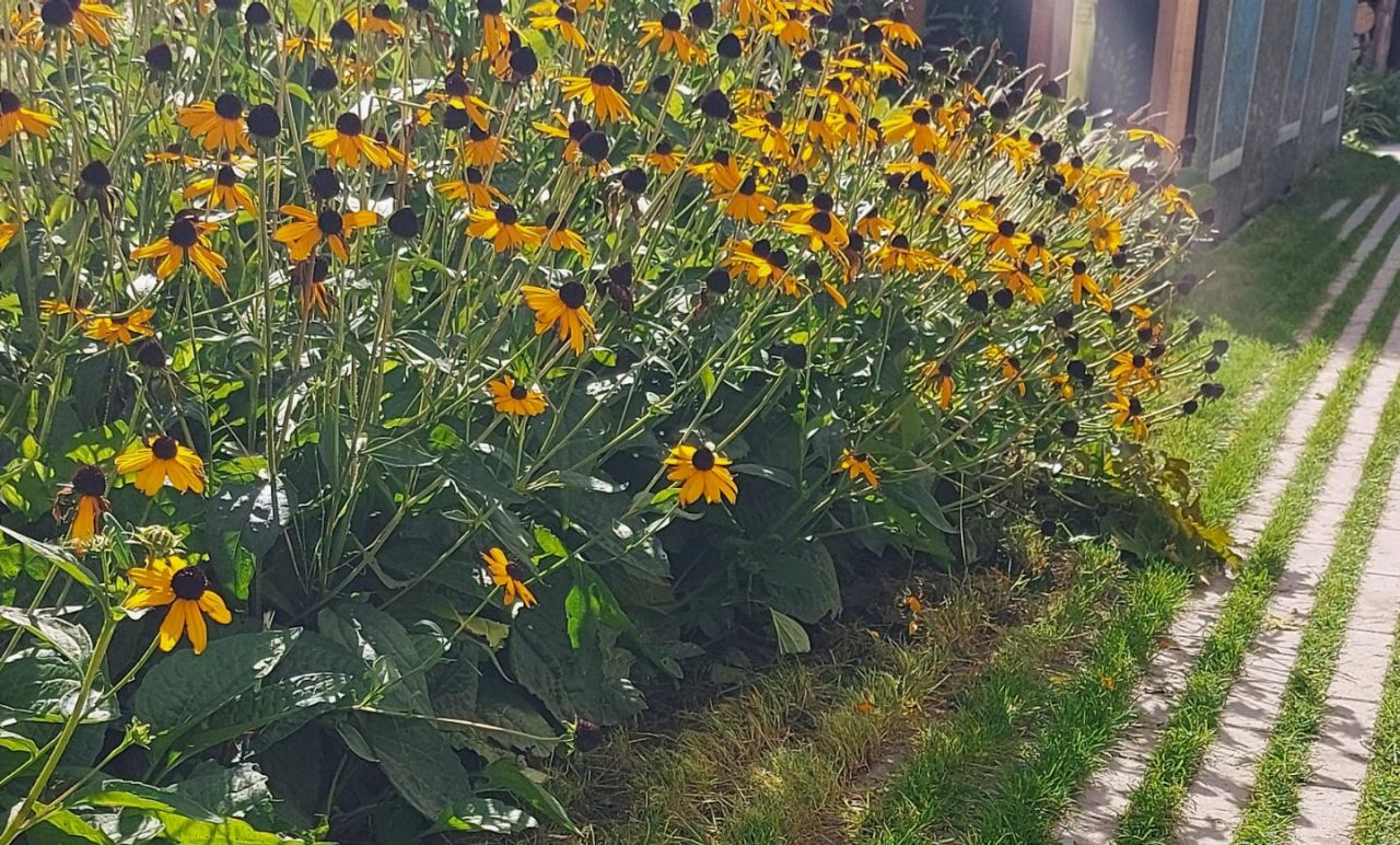 Bloemenborder