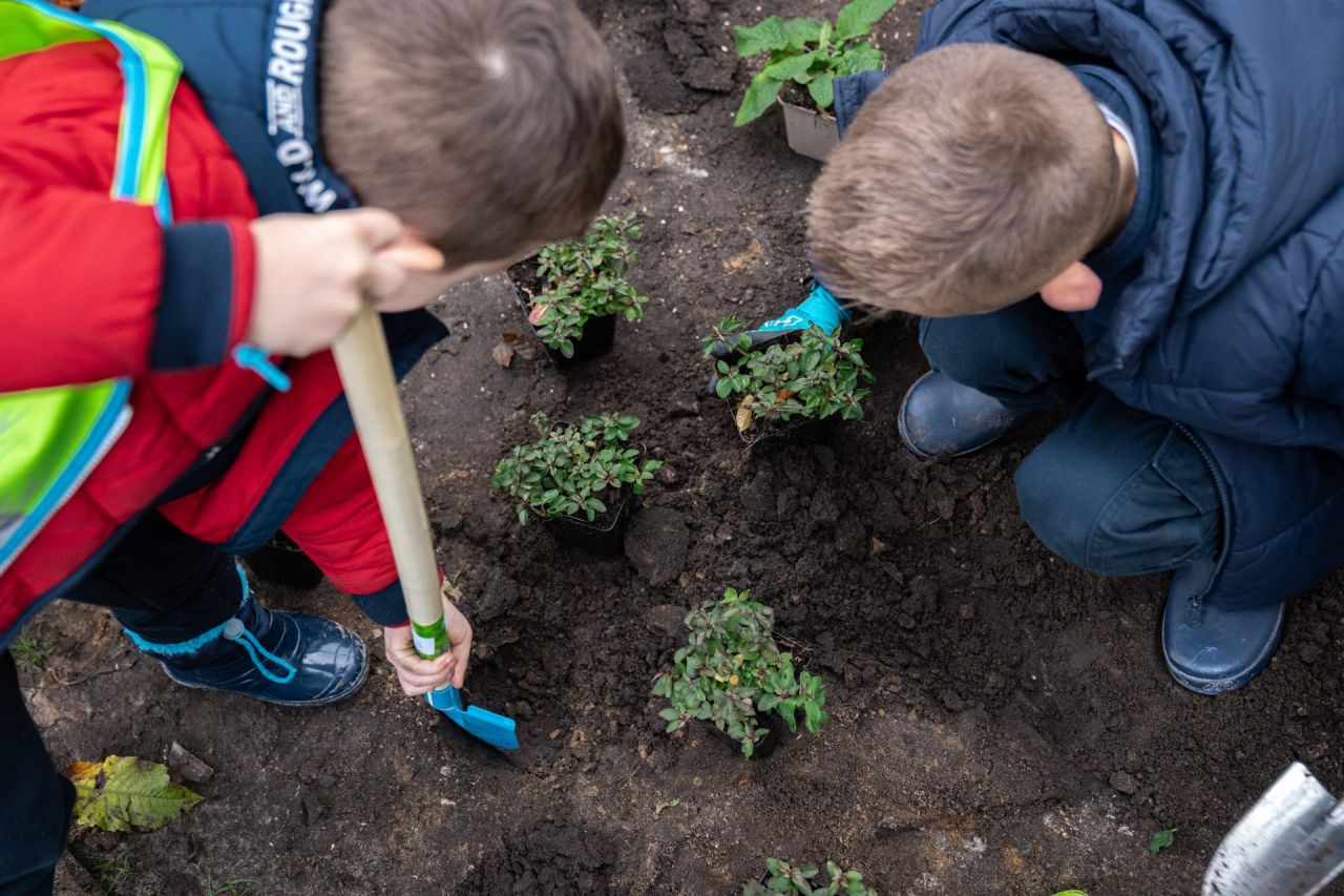 De Groene Oase van GIBO Heide