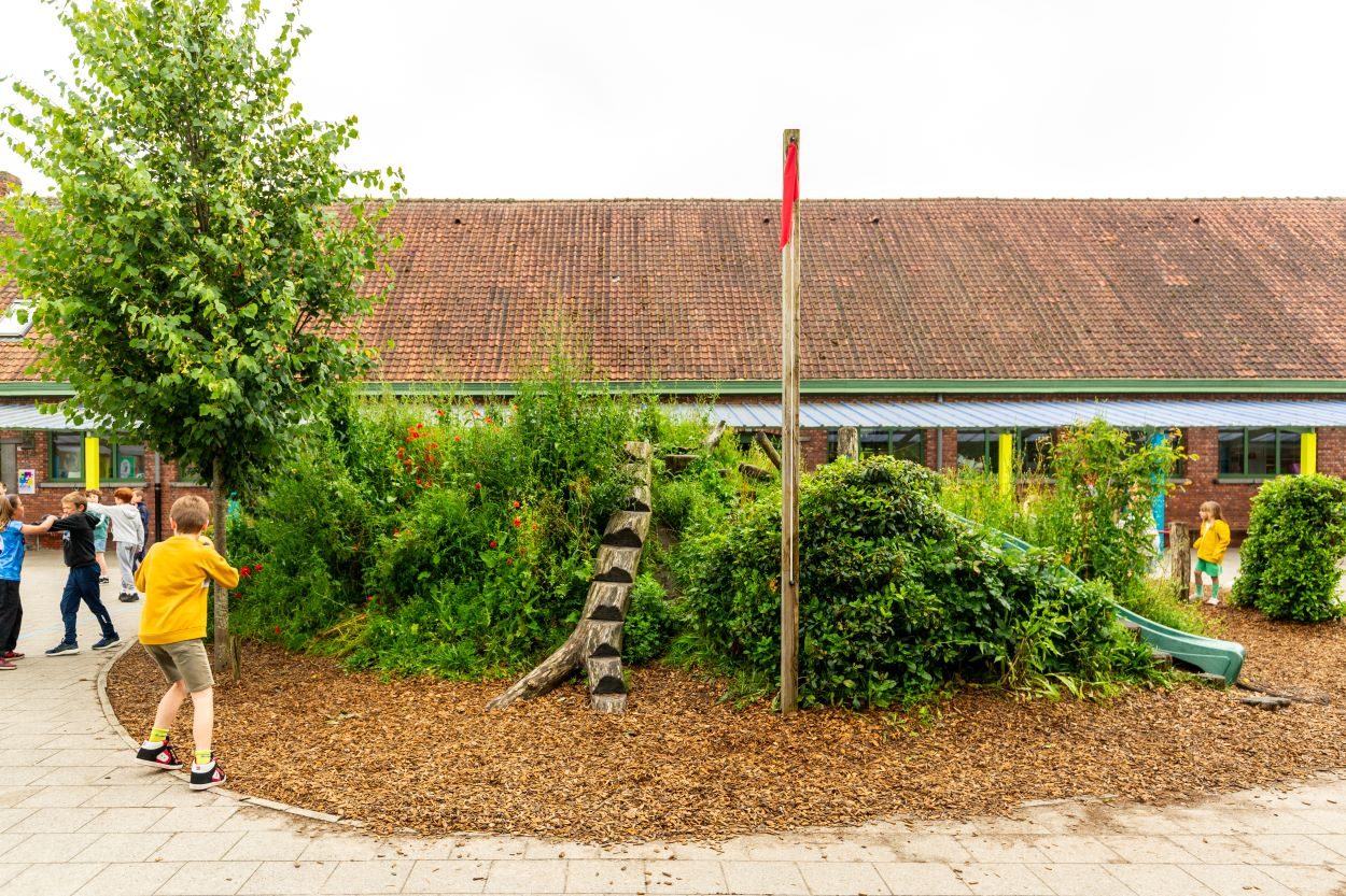 Een speelheuvel omringd met houtsnippers op de speelplaats van De Ceder