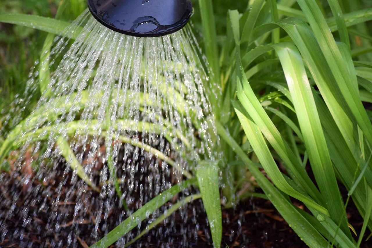 Water geven