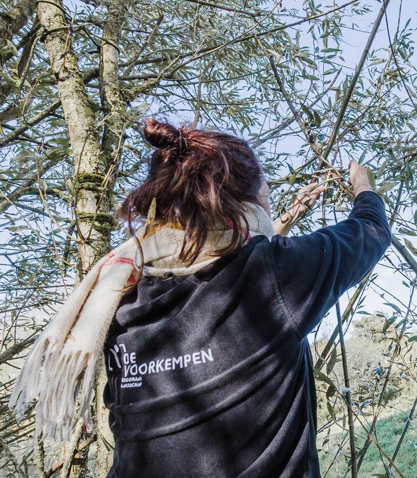 Workshop wilgenhut - Beheer(s) je speelplaats