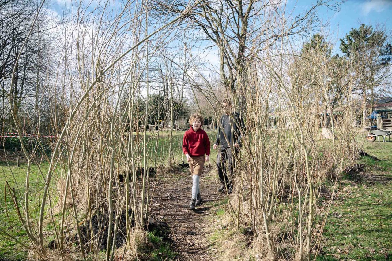Groene Oase: Vlindertuin Lille