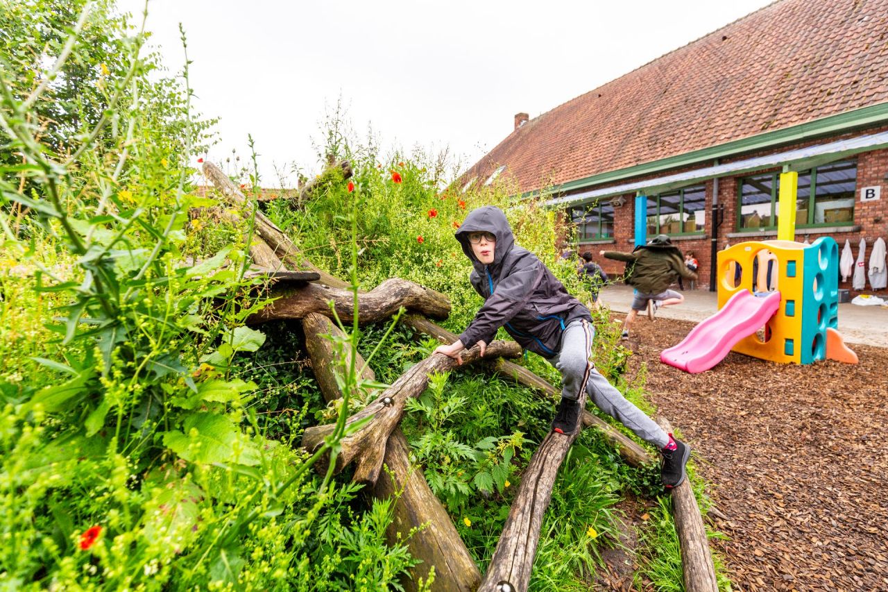 Groene Oase De Ceder Kessel