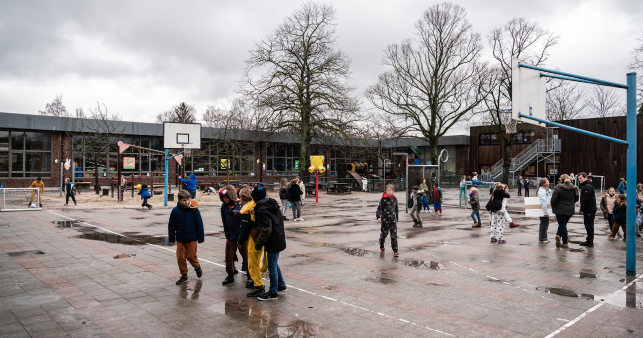 Pre_Juxtapose_GIBO_Heide