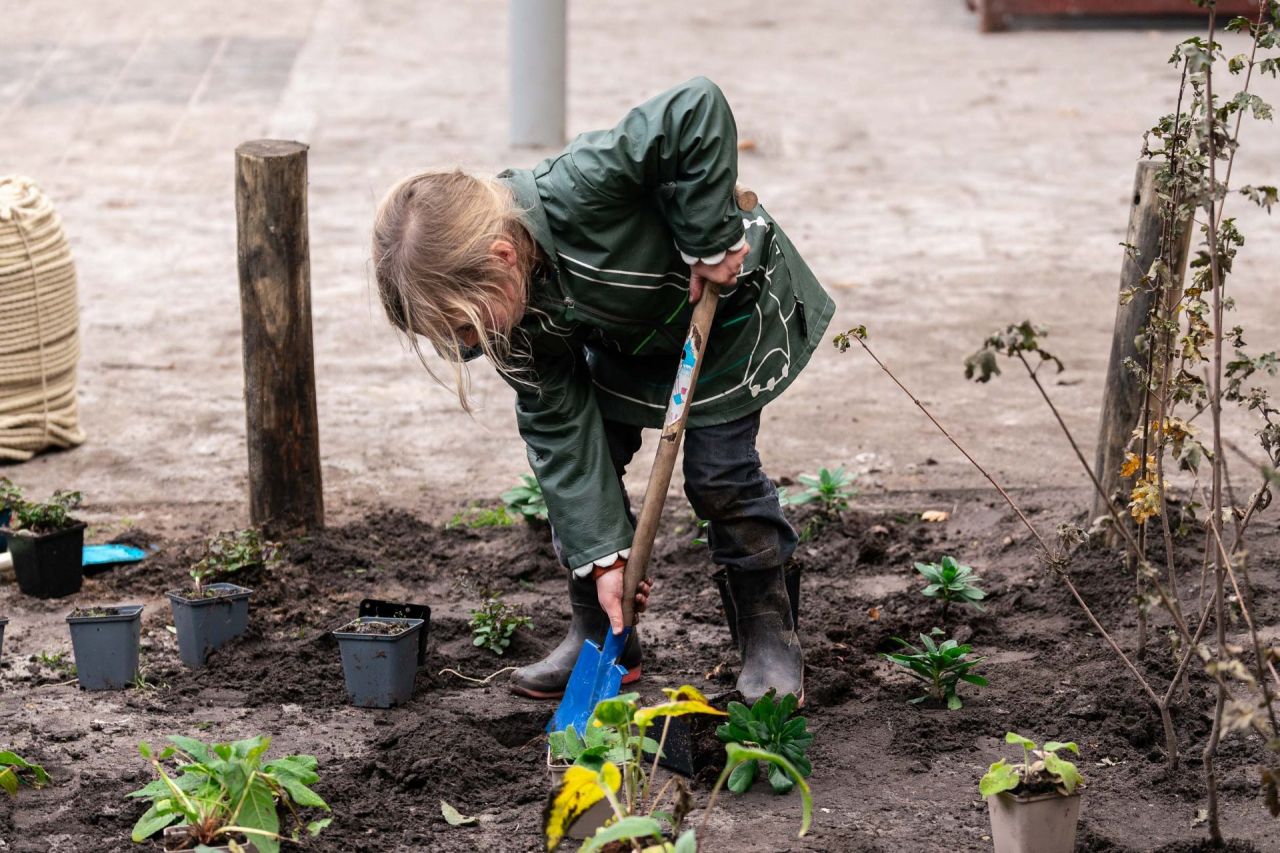 aanplanting_groenaoases_GH_Brasschaat