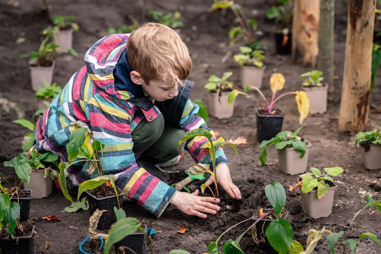 Een kind plant een plant in de grond