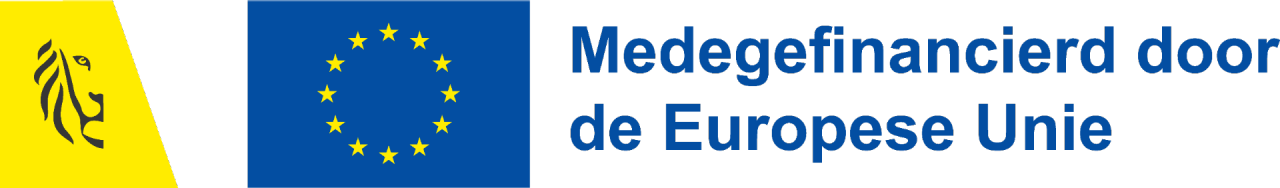 Combinatielogo 'Medegefinancierd door de Europese Unie'