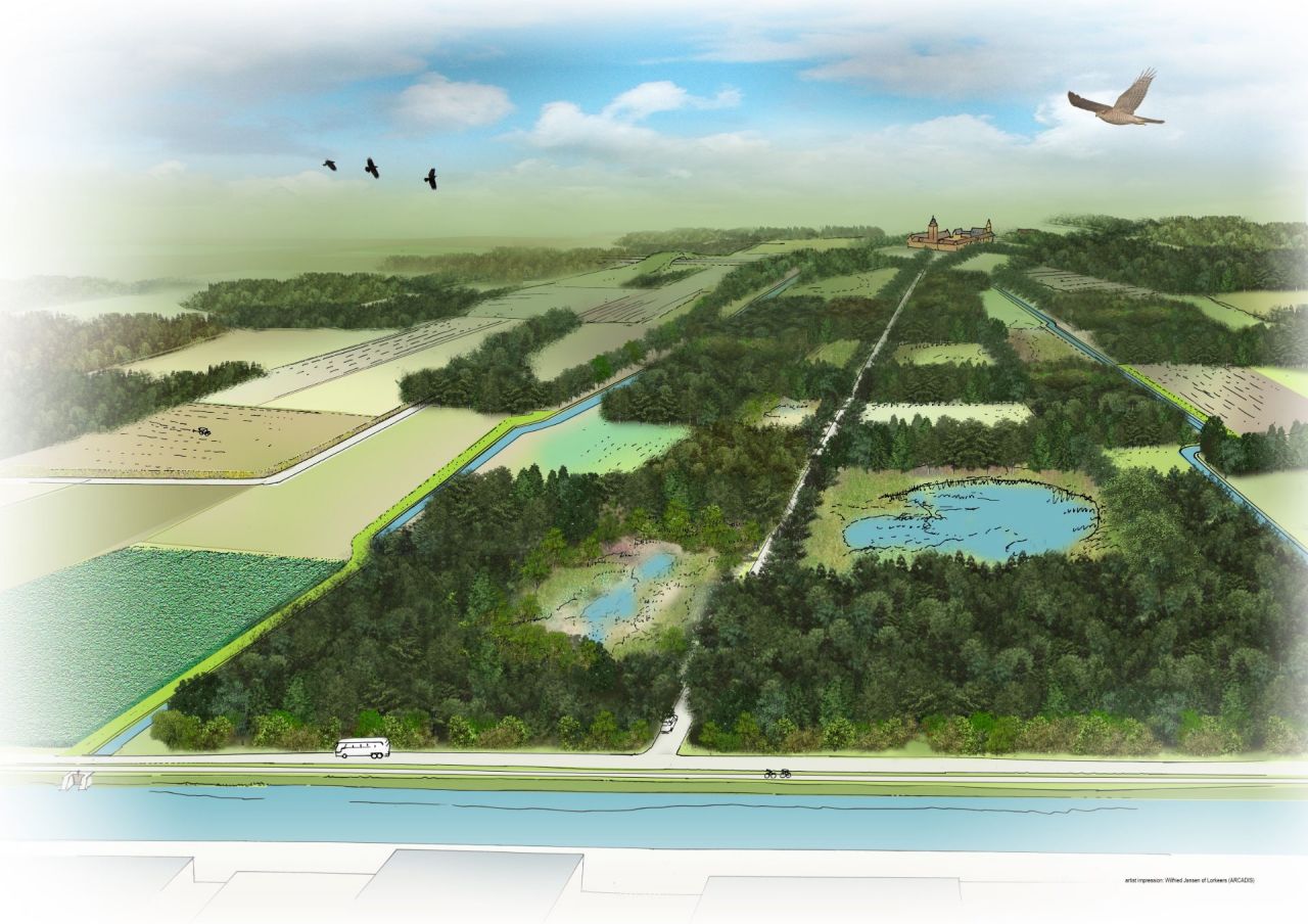 Landschapsbeeld biodiversiteit Kempens Plateau