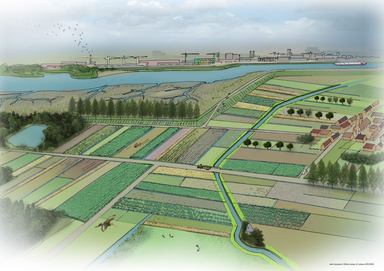 Landschapsbeeld biodiversiteit Scheldepolders