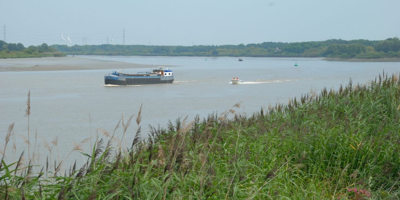 Sfeerbeeld Oude Schelde te Bornem