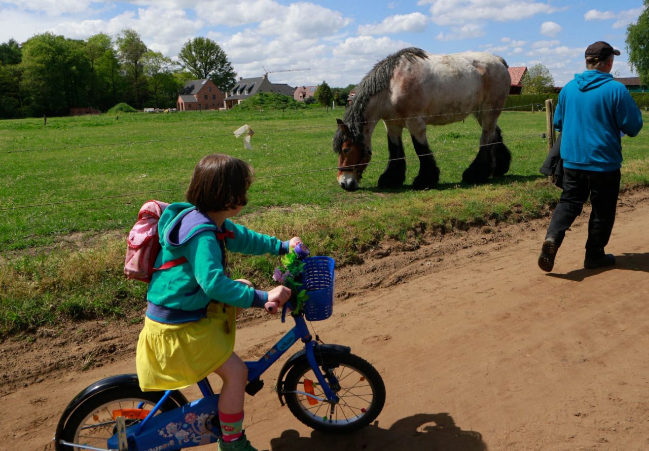 Trage weg in Vorselaar/Lille