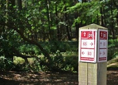 bewegwijzeringWandelknooppunten