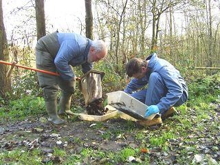 Hydrobiologie