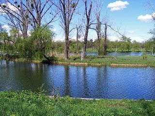 Rivier