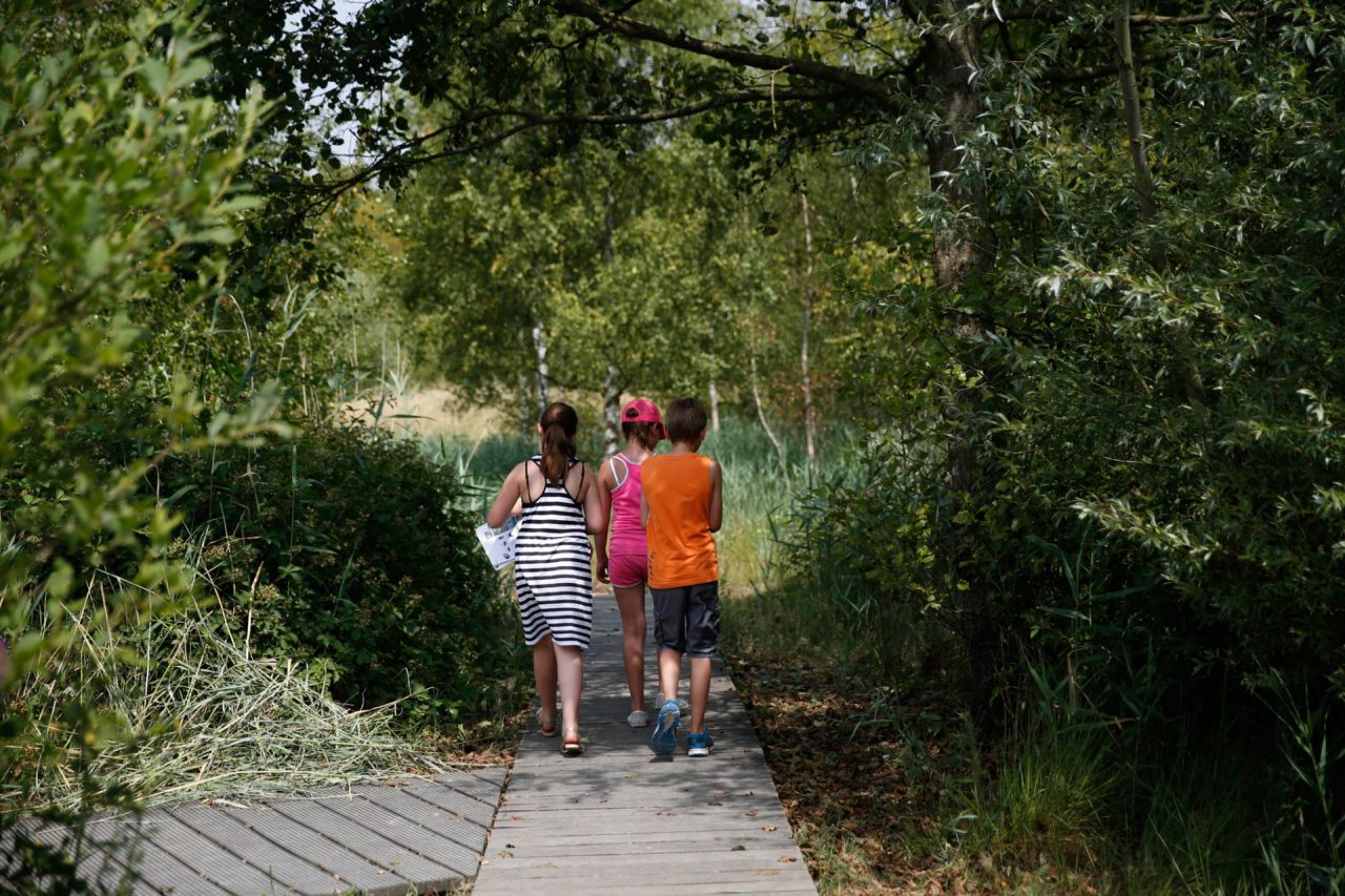 Leerlingen tijdens de activiteit Natuursafari