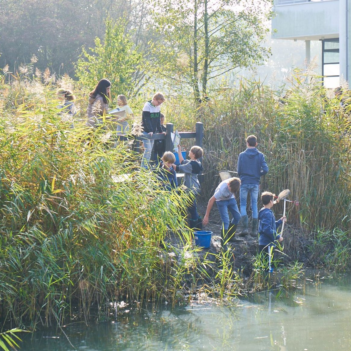 Leerlingen vangen macro-invertebraten