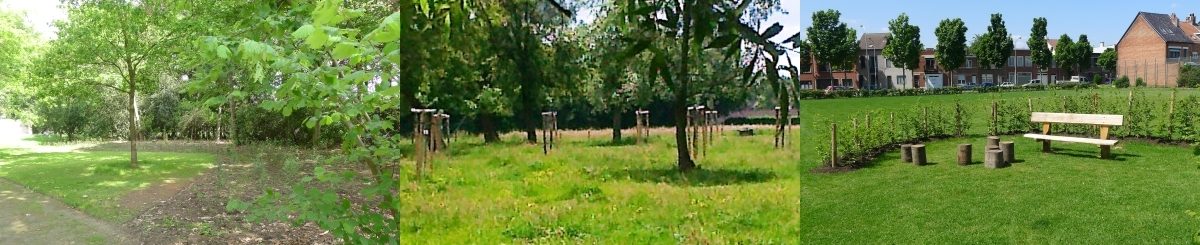 Buitengewone plekjes te Aartselaar, Boechout, Edegem