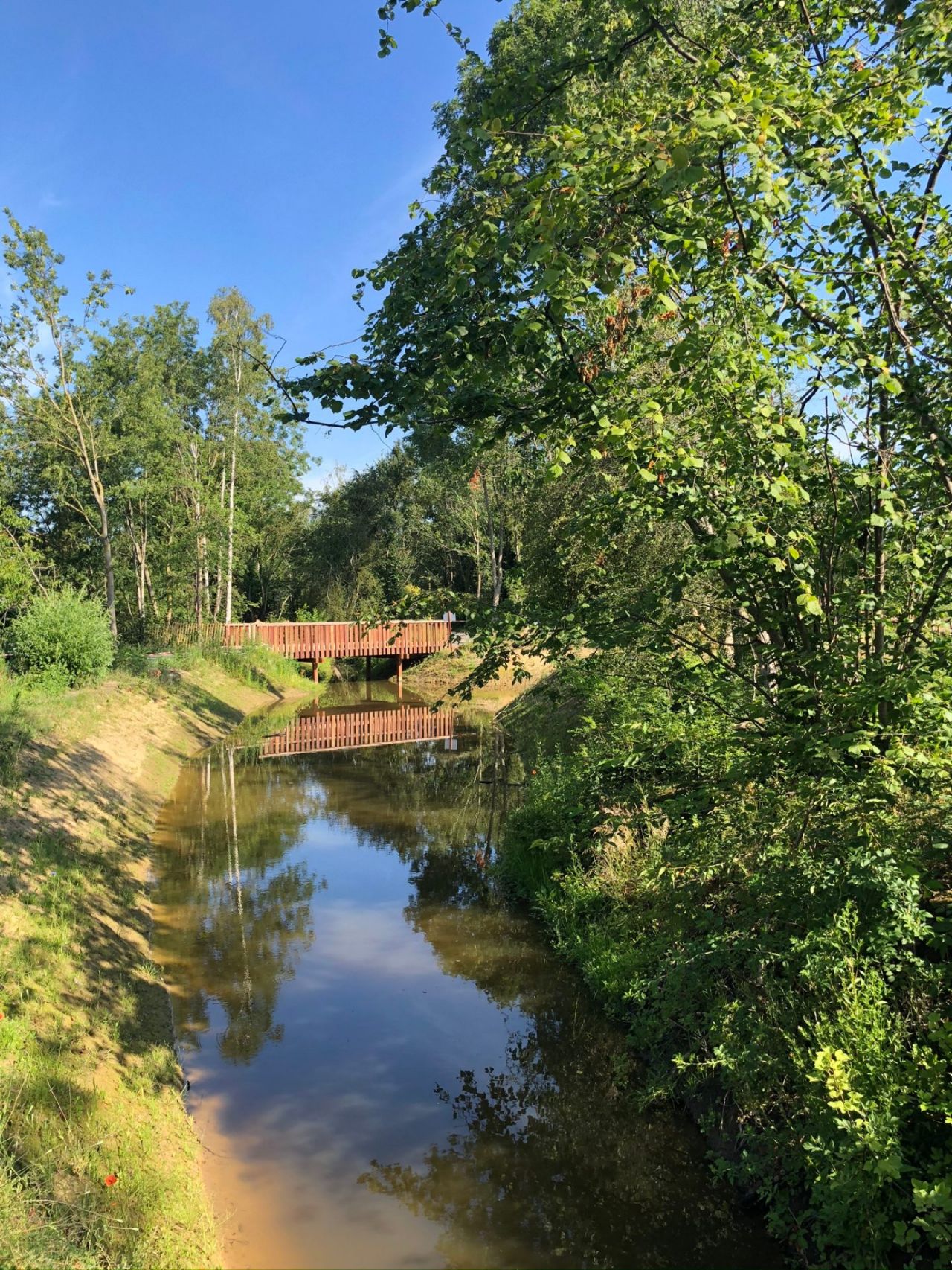 Waterbuffer Kontich provincie Antwerpen Nature Smart Cities