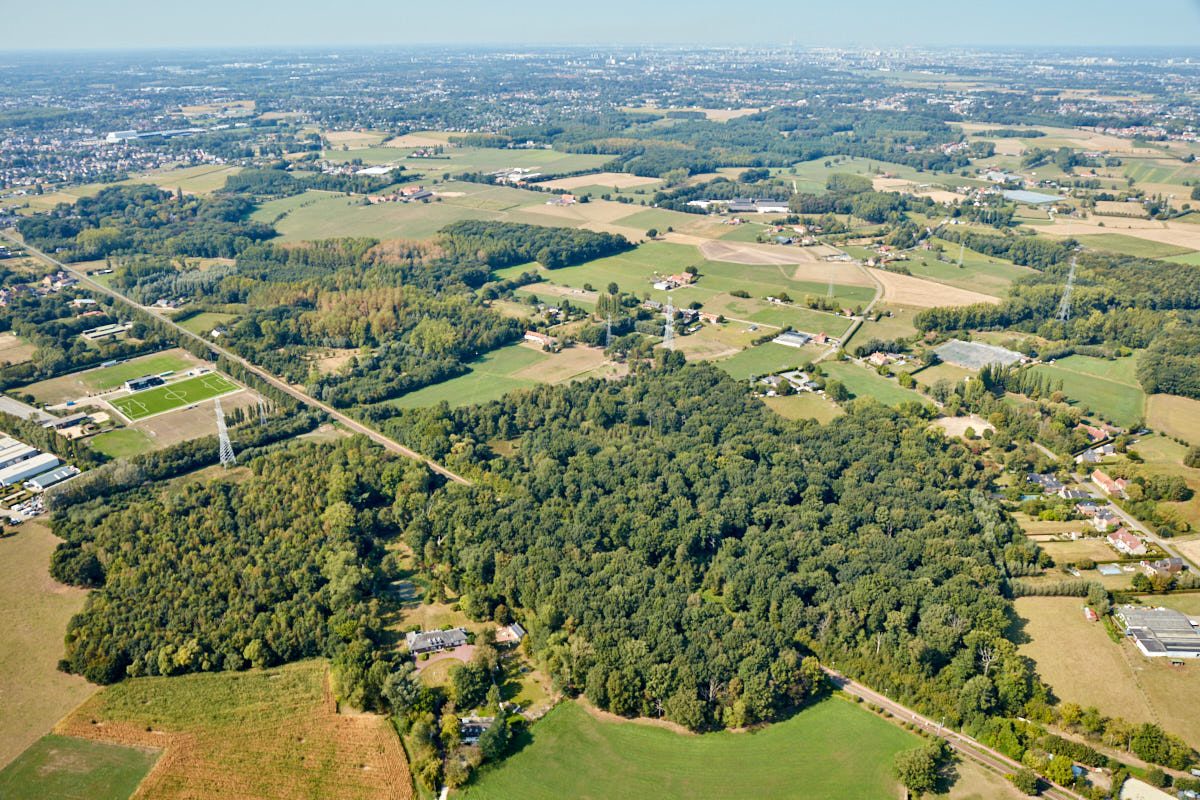 Open ruimtegebied Boshoek
