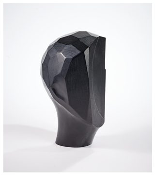 Patrick Van Hoeydonck - Facethoofd