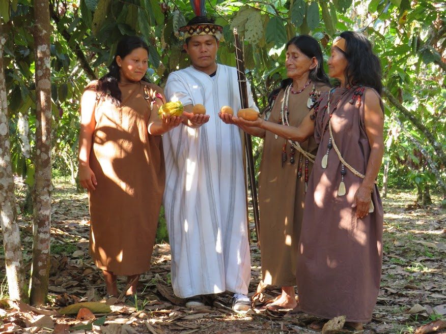 Ontbossingsvrije cacao-productie door de inheemse gemeenschappen