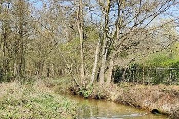 De Zwanebeek in Schilde