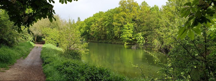 Wandelpad lang water in het Fort van Wommelgem