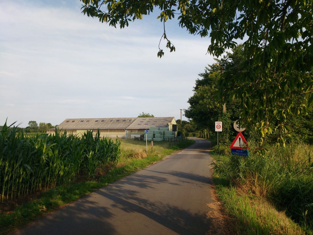 Foto van landbouwbedrijf en weiden langs een landbouwweg