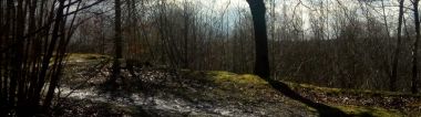 Groengebied Terhagen Boom: wandelknooppunt 159