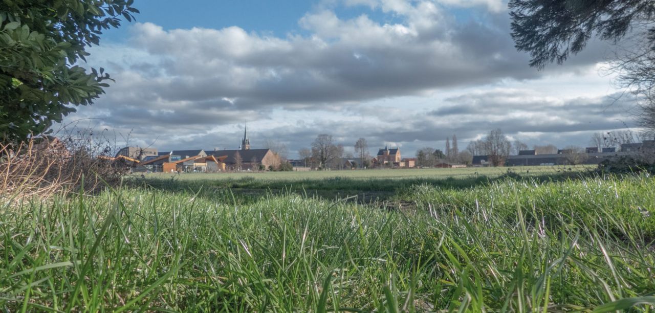 Zicht op open ruimte De Daries, vanop Gouwberg