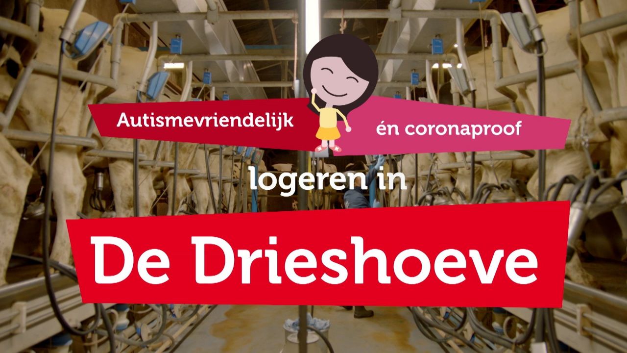 De Drieshoeve in Kasterlee