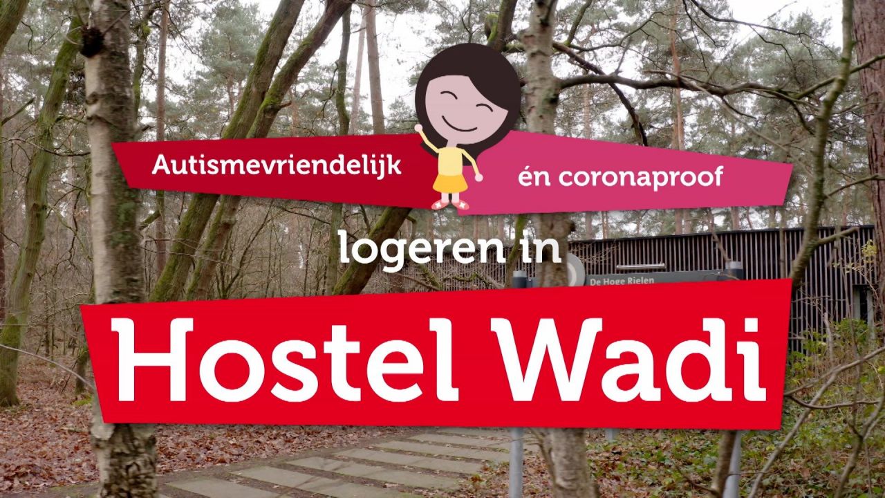 De Hoge Rielen - Hostel Wadi in Kasterlee