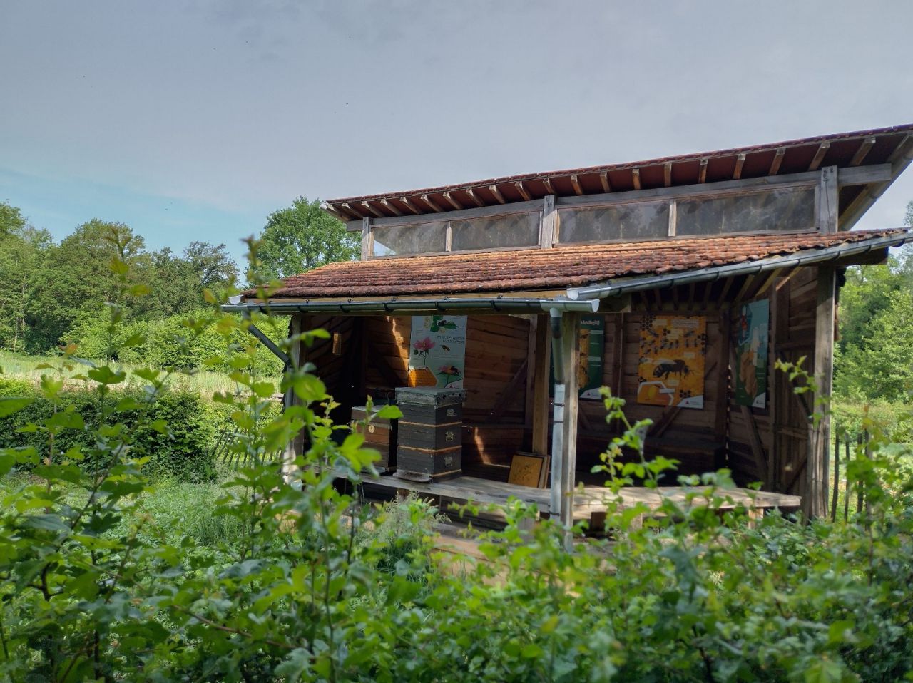 Bijenhal in De Averegten