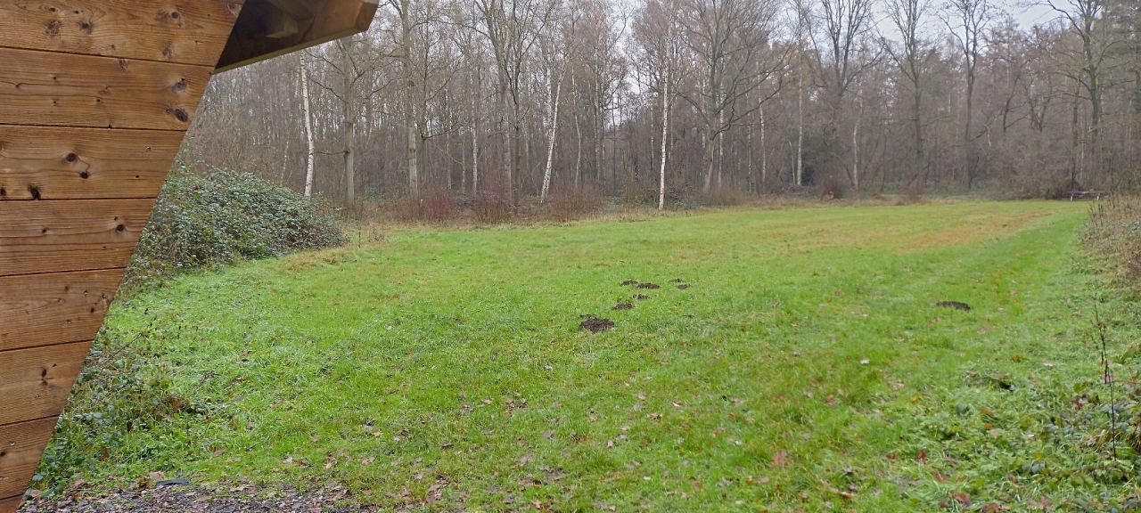 Biezenweide